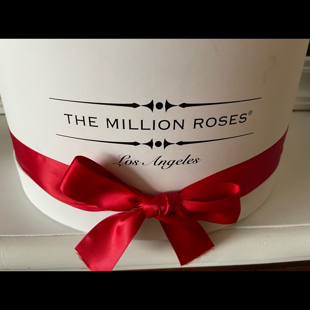 The Millions Roses - Picture 5 of 8